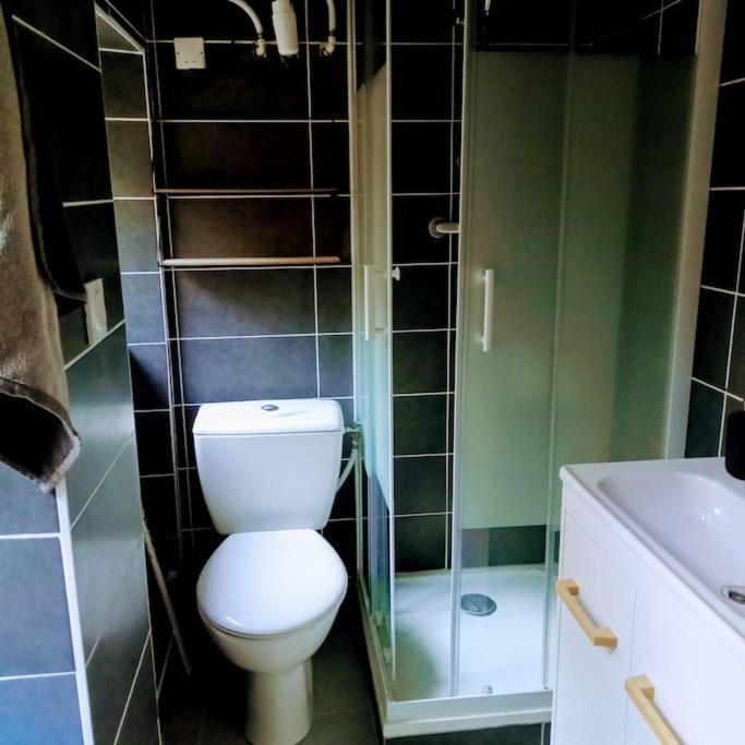 Le Cosy Chaleureux Appartement Сент-Етьєн Екстер'єр фото
